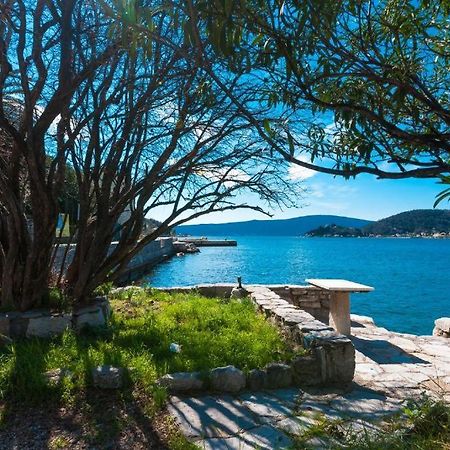 Apartmani Vesna Tivat Ngoại thất bức ảnh