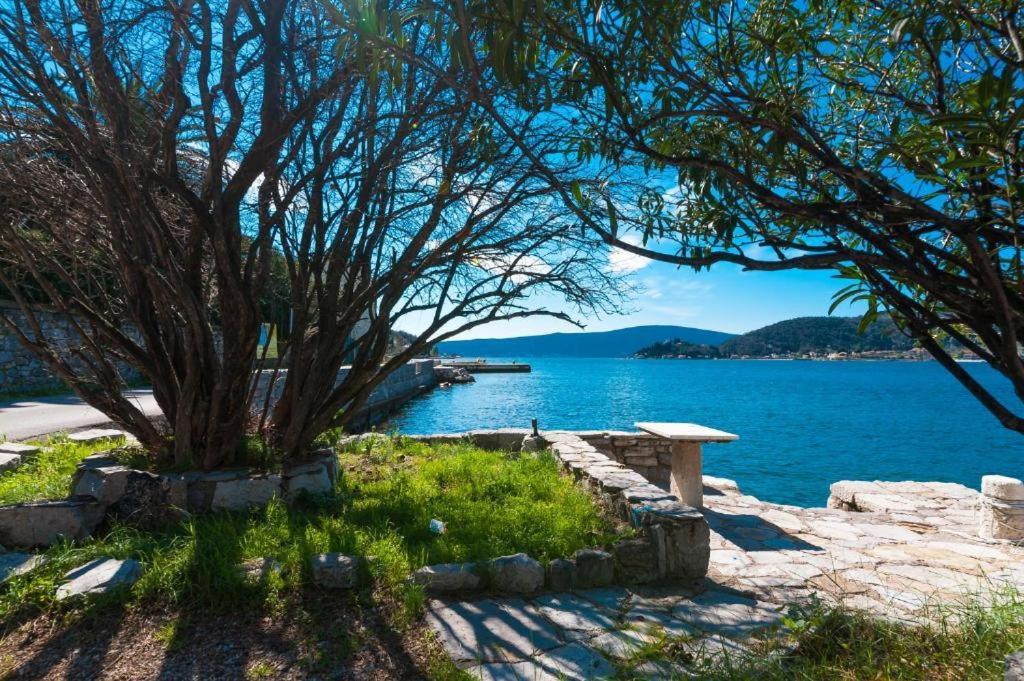 Apartmani Vesna Tivat Ngoại thất bức ảnh