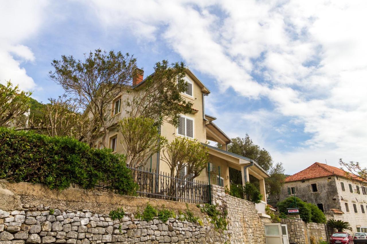 Apartmani Vesna Tivat Ngoại thất bức ảnh